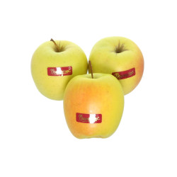 POMME GOLDEN ROSEE MOUNEYRAC KG